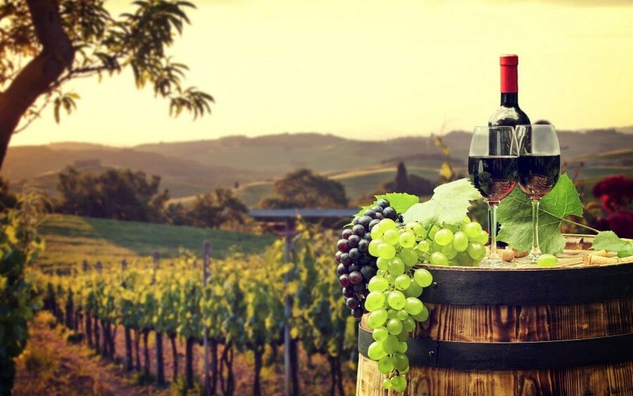 Nice: Provence Village Tour with Wine and Produce Tasting - A full day beyond Nice’s seafront