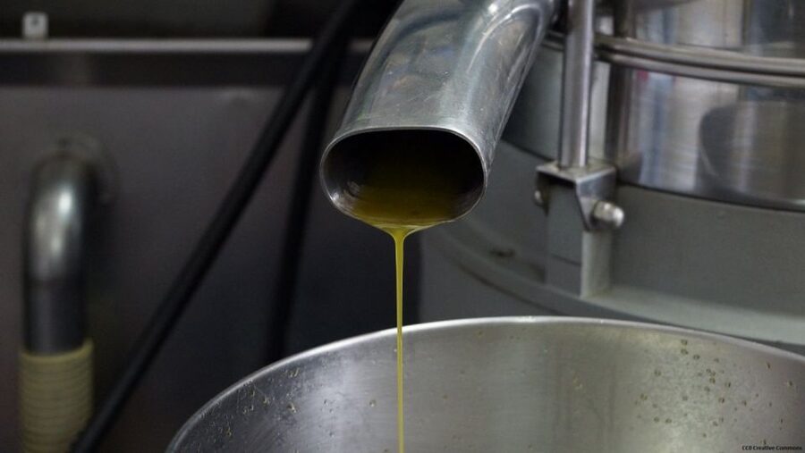 Nice: Provence Village Tour with Wine and Produce Tasting - Opio’s old oil mill and the taste of Provence