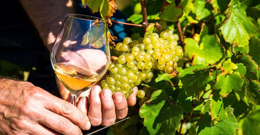 Nice: Provence Village Tour with Wine and Produce Tasting - Biot glass: a quick look at a local craft