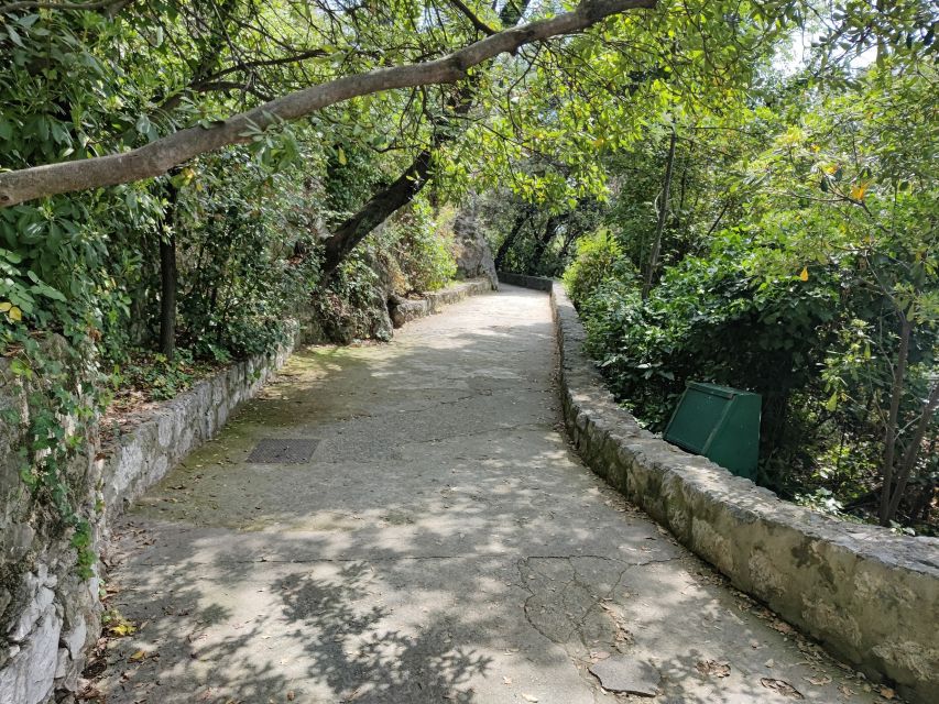 Nice: Sightseeing Walking Tour with certified tour guide - Why this walk is a smart first introduction to Nice