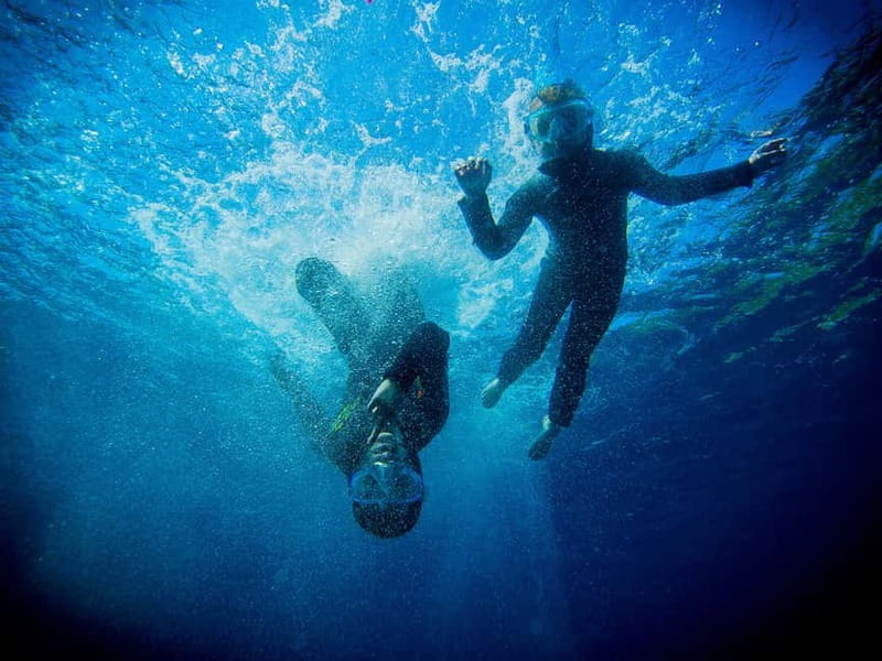 Nice: Snorkeling Speedboat Tour in Villefranche Bay - Key points to know before booking