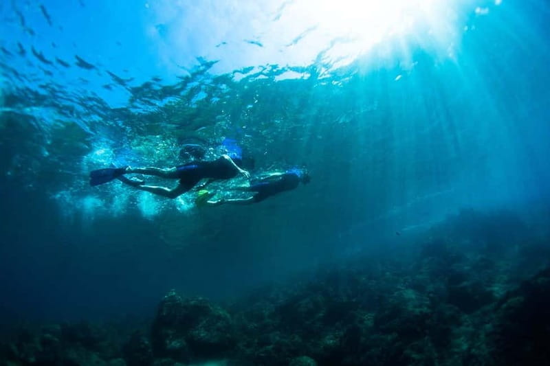 Nice: Snorkeling Speedboat Tour in Villefranche Bay - FAQ