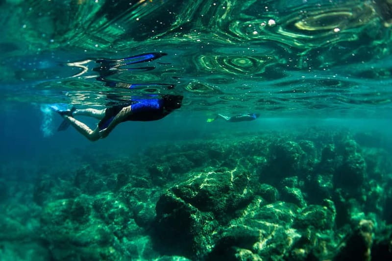 Nice: Snorkeling Speedboat Tour in Villefranche Bay - What the guides add to the experience