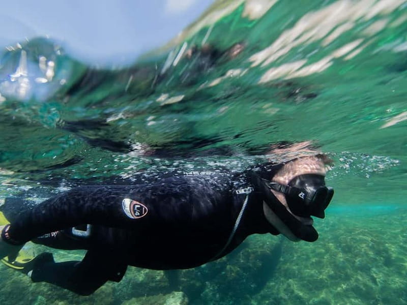 Nice: Snorkeling Speedboat Tour in Villefranche Bay - Is the speedboat worth the $68 price?