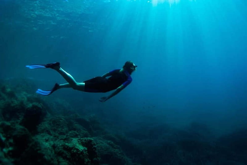 Nice: Snorkeling Speedboat Tour in Villefranche Bay - Should you book the Villefranche Bay snorkeling trip?