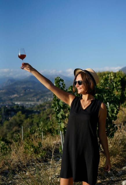 Nice: Vineyard Tour with Wine Tasting - Key points at a glance
