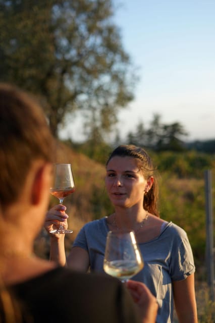 Nice: Vineyard Tour with Wine Tasting - What the guides explain particularly well