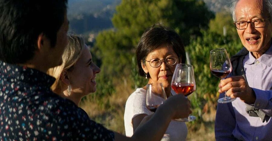 Nice: Vineyard Tour with Wine Tasting - Meeting at the chapel above the vines