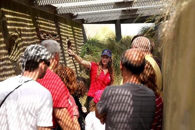 Normandy Battlefields Half Day Tour - Canadian World War II Sites - Inside the Juno Beach Centre