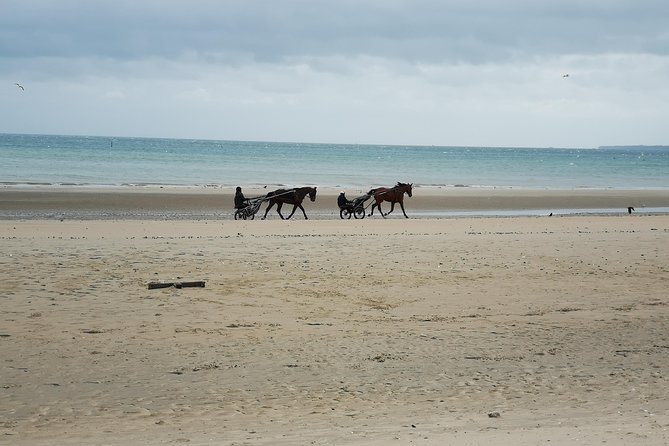 Normandy Battlefields Tour - American Sites (A3) - Why this Bayeux tour works as a D-Day introduction