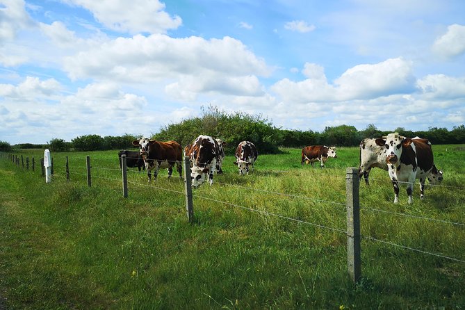 Normandy Battlefields Tour - American Sites (A3) - The Utah Beach question you should settle first