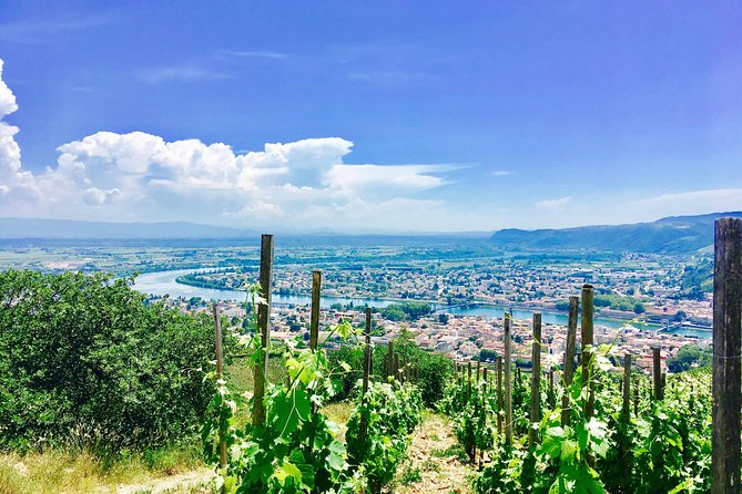 Northern Rhône Valley From Lyon Full day - Key points to know before you book