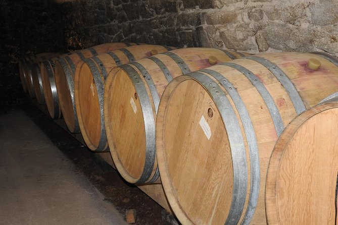 Northern Rhône Valley From Lyon Full day - Why the Northern Rhône makes a good day trip from Lyon