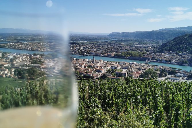 Northern Rhône Valley From Lyon Full day - Ampuis and Côte-Rôtie’s steep slopes
