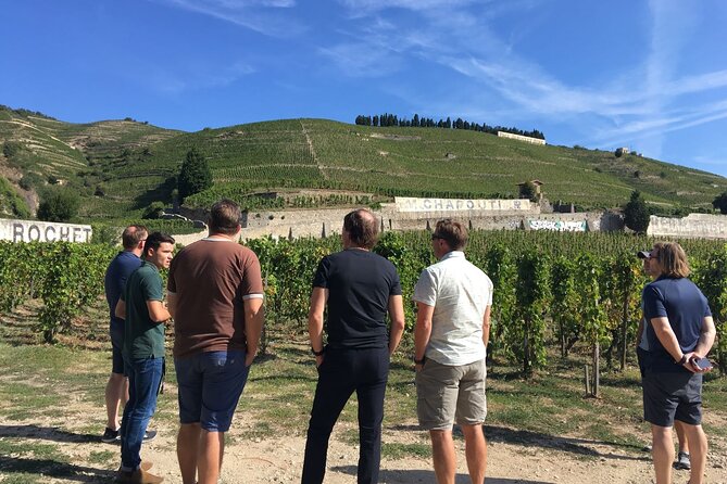 Northern Rhône Valley From Lyon Full day - Tain-l’Hermitage: the main tasting stop