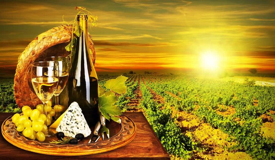Organic Wine Tasting with Saint paul Half Day Tour from Nice - Saint Jeannet and the small organic estate