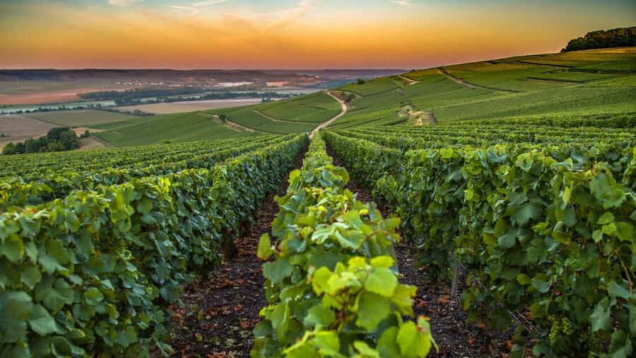Organic Wine Tasting with Saint paul Half Day Tour from Nice - Arriving in Saint Paul de Vence