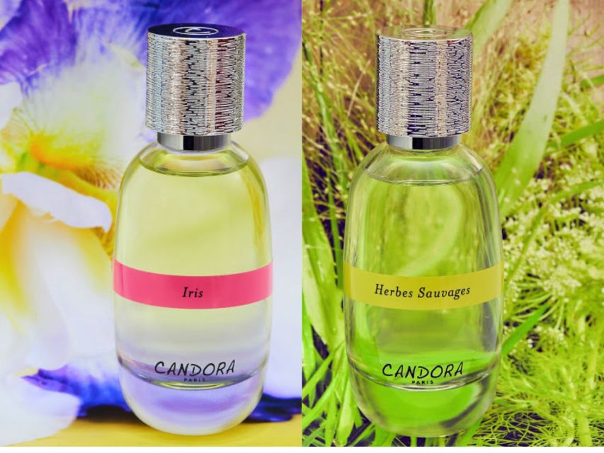 Paris: 2-Hour Perfume Creation Workshop - Training your nose with a dozen fragrance options