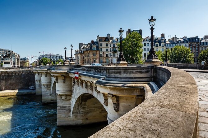 Paris Airport Transfer: Paris Airport CDG to Paris by Luxury Van - Safety and comfort details