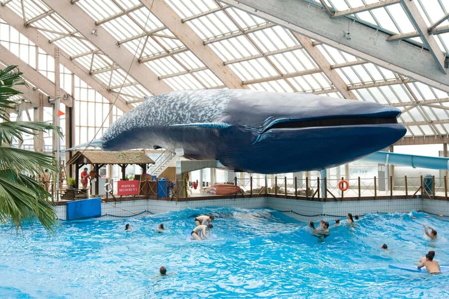 Paris: Aquaboulevard Water Park Entrance Ticket - Clean water, staff, and family safety