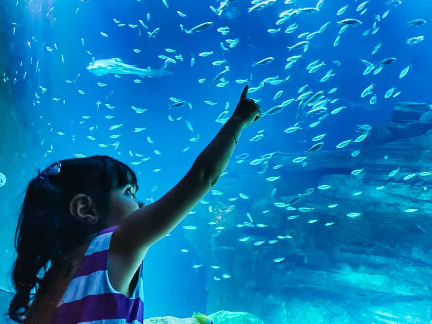 Paris: Aquarium de Paris Entrance Ticket - A Quiet Ocean Stop Near the Eiffel Tower
