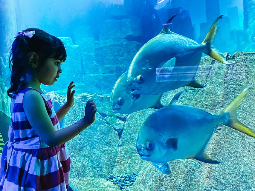 Paris: Aquarium de Paris Entrance Ticket - The Koi Pool Makes the Visit Hands-On