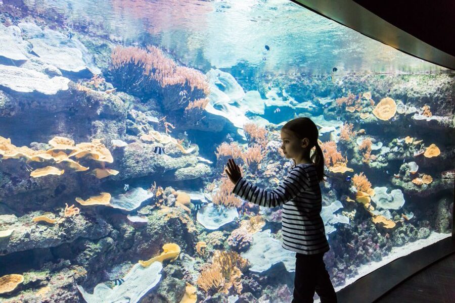 Paris: Aquarium de Paris Entrance Ticket - Films, Cartoons, Workshops, and Live Shows