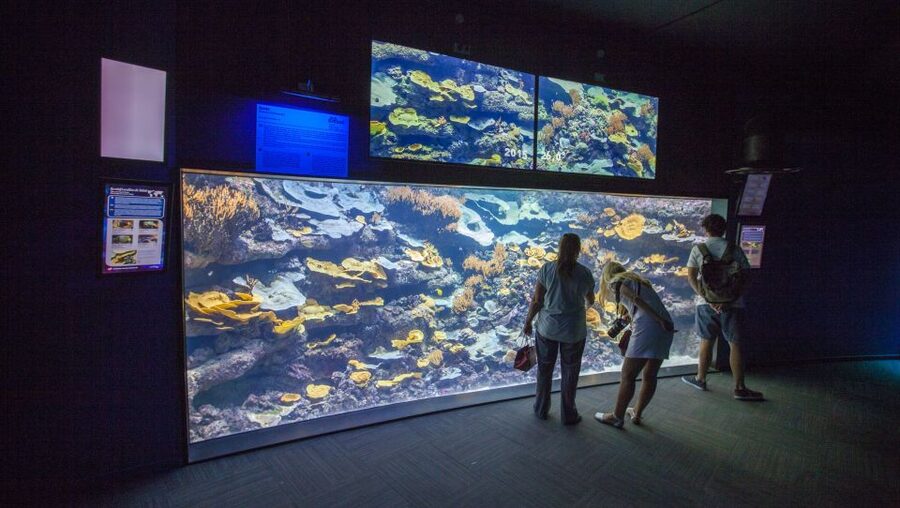 Paris: Aquarium de Paris Entrance Ticket - How Long Should You Allow?