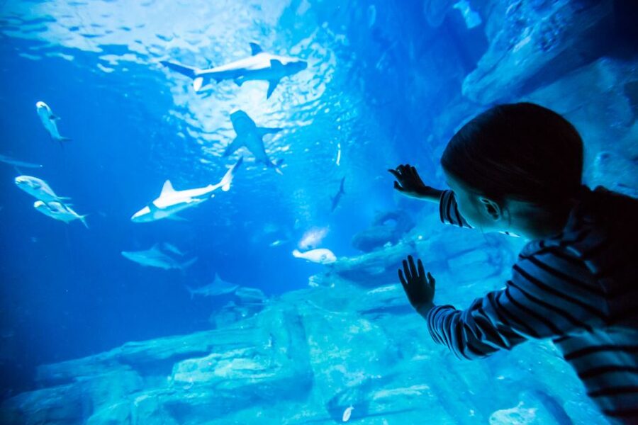 Paris: Aquarium de Paris Entrance Ticket - From Seine Fish to Tropical Marine Life