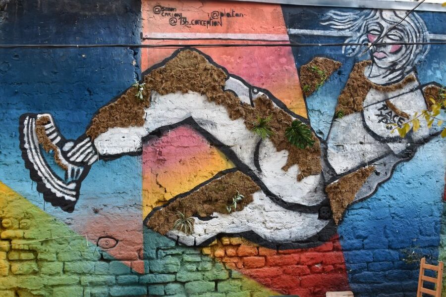 Paris: Belleville Street Art Tour with an Artist - Key points to know before you book