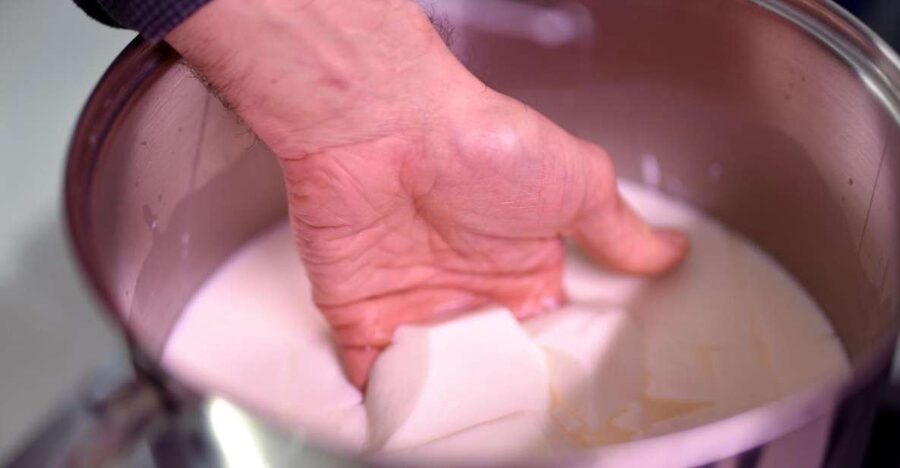 Paris: Butter and Cheesemaking Workshop - Making tomme fraiche from start to finish