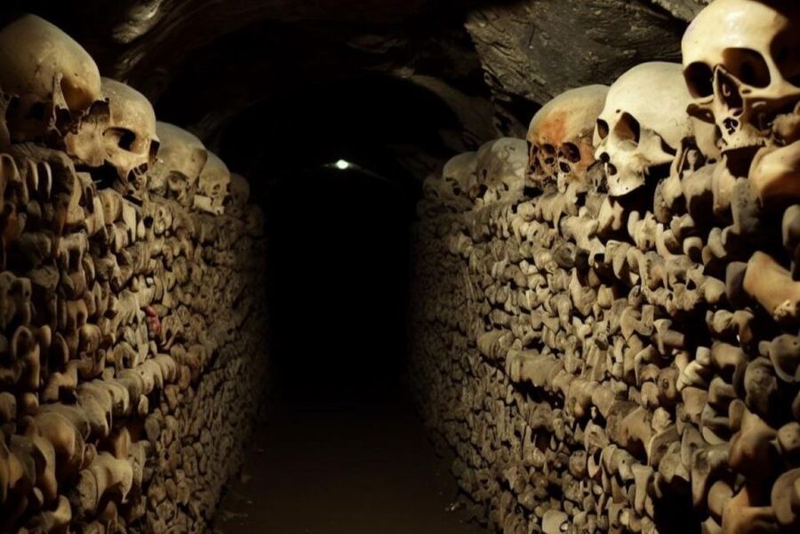 Paris: Catacombs, Audio Guide, and River Cruise Option - Should you book this Catacombs and cruise option?