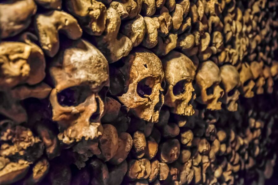 Paris: Catacombs Restricted Access Tour - Key points to know before you book