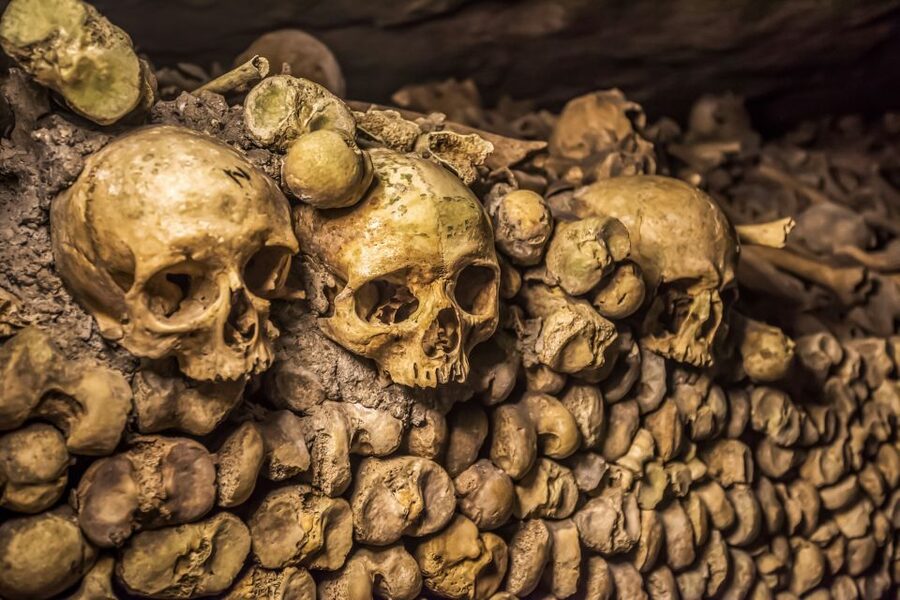 Paris: Catacombs Restricted Access Tour - The value of $187 per person
