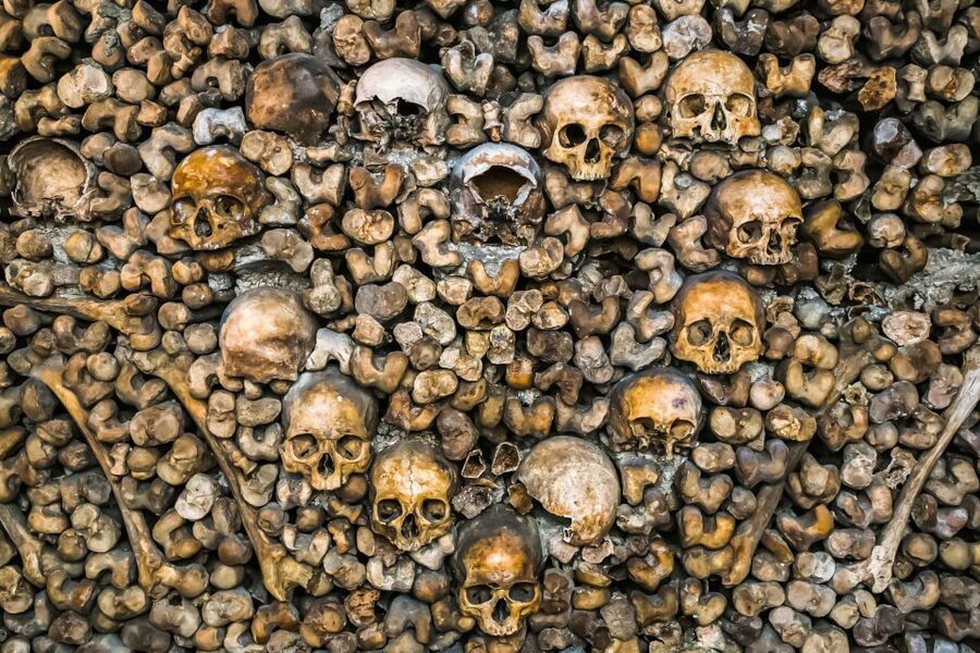 Paris: Catacombs Restricted Access Tour - Who should book this Catacombs tour