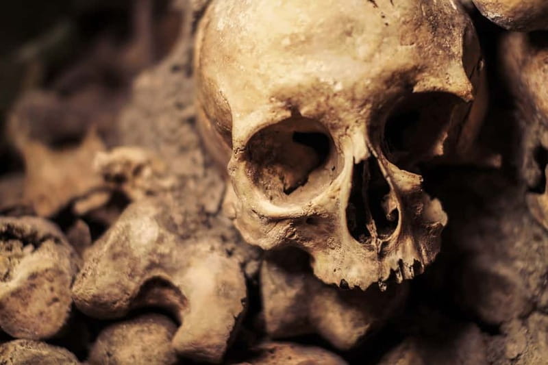 Paris: Catacombs Special Access Tour - Key points at a glance