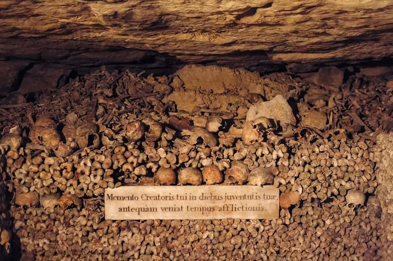 Paris: Catacombs Special Access Tour - Who should book this Catacombs tour?