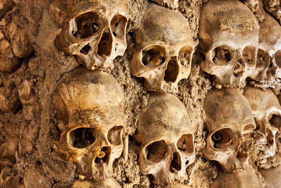 Paris: Catacombs Ticket and Seine River Cruise - What this Paris combination really includes