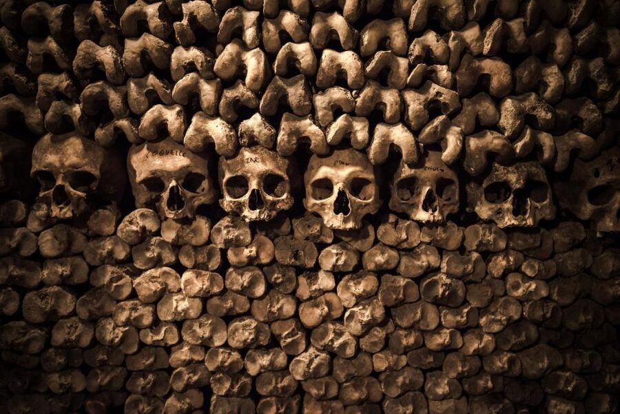 Paris: Catacombs Ticket and Seine River Cruise - Planning the distance between the two sites