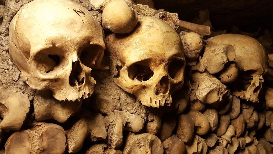 Paris: Catacombs Ticket and Seine River Cruise - Is $104 per person a fair price?
