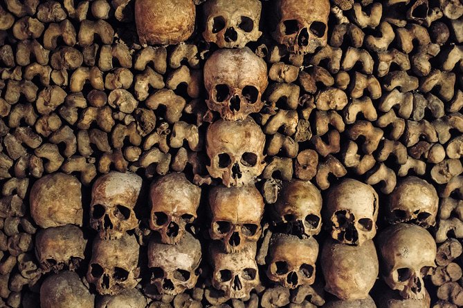 Paris Catacombs Tour - Starting outside at Avenue du Général Leclerc