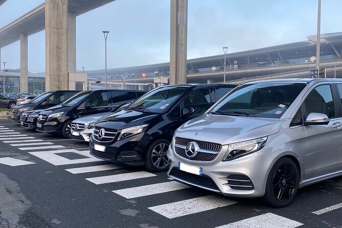 Paris Charles de Gaulle Airport Private Arrival Transfer - What the vehicle includes during the ride