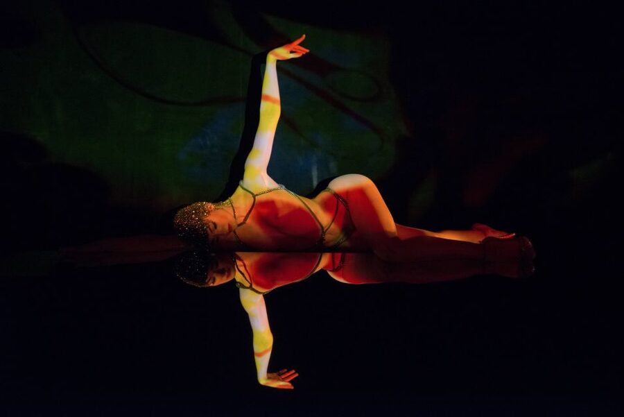 Paris: Dinner at Ginger Restaurant & Show at Crazy Horse - Champagne, wine, and the overall value