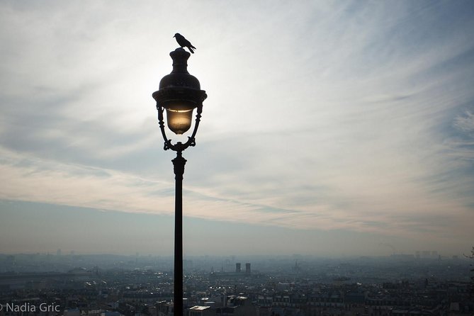 Paris Half Day Private Customized Walking Tour, Transport Options - A fast, personal introduction to Paris