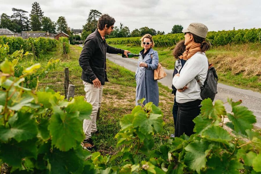 Paris: Loire Valley Chambord Castle, Wine Tasting & Lunch - Key points to know before booking