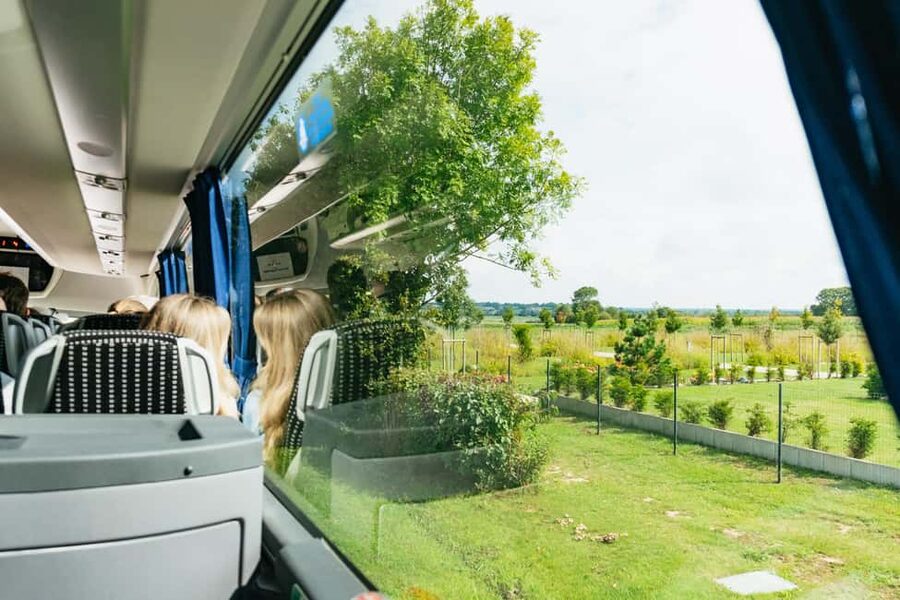 Paris: Normandy D-Day Sites Guided Day Trip with Lunch - The American Cemetery is the right final stop