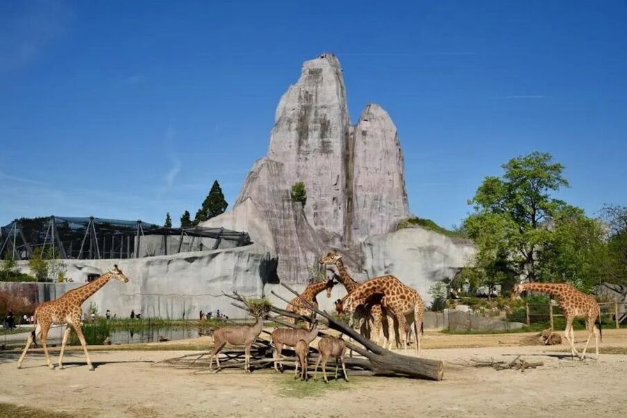 Paris: Paris Zoological Park Entrance Ticket - The Amazon is the most surprising indoor-style stop