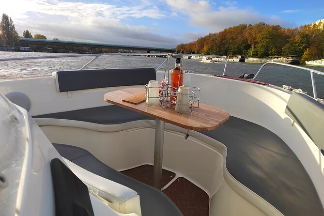 Paris Private Seine River Cruise with your Captain Guide - Seguin Island and the Seine Musicale