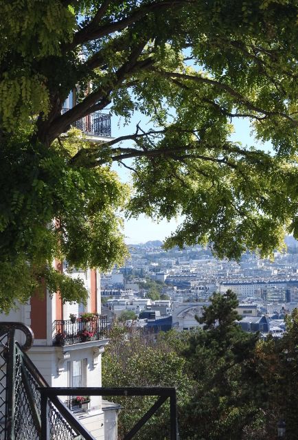 Paris: Sacré-Coeur and Montmartre Tour with Expert Guide - Language and group expectations