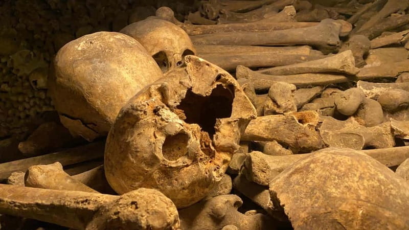 Paris: Small-Group Catacombs Tour with Skip-the-Line Entry - Entering the Catacombs at Avenue du Colonel Henri Rol-Tanguy